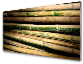 Obraz na skle Bambus rastlina príroda 100x50 cm