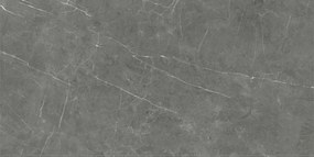 Dlažba Tessino Grey Natural 60x120 R