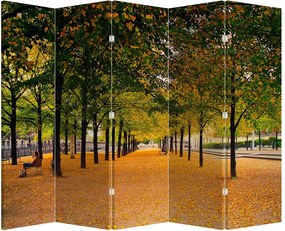 Paraván - Alej jesenných stromov (210x170 cm)