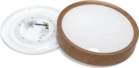 BRILAGI - LED stropné svietidlo NATURA LED/12W/230V 4000K pr. 26,3 cm