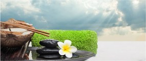 Obraz - Spa and relax (120x50 cm)