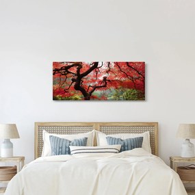 Obraz červeného japonského javora, Portland, Oregon (120x50 cm)