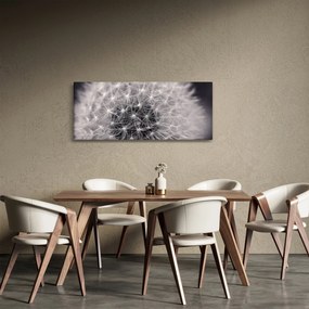 Obraz púpavy (120x50 cm)