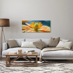 Obraz - Detail kvetu (120x50 cm)