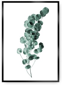 Plagát Eucalyptus Emerald Green