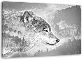 Obraz na plátně, Vlk Zvíře Mlha Les Příroda - 90x60 cm