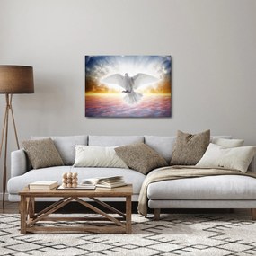 Obraz holubice (70x50 cm)