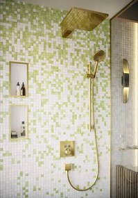 Hansgrohe Raindance E, hlavová sprcha 300 1jet so sprchovým ramenom, leštený vzhľad zlata, HAN-26238990