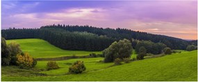 Obraz lúky (120x50 cm)