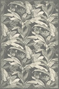 Koberec Agnella Regius Marceline popolový