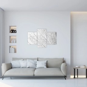 Obraz - Pampas grass N⁰2 (90x60 cm)