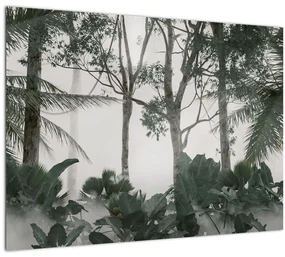 Sklenený obraz - Jungle v rannej hmle (70x50 cm)