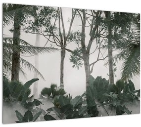 Sklenený obraz - Jungle v rannej hmle (70x50 cm)