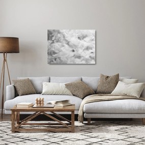 Sklenený obraz - Oblaky perie (70x50 cm)