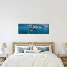 Obraz - Delfín pod hladinou (s hodinami) (90x30 cm)