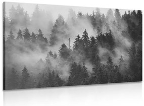 Obraz hory v hmle v čiernobielom prevedení