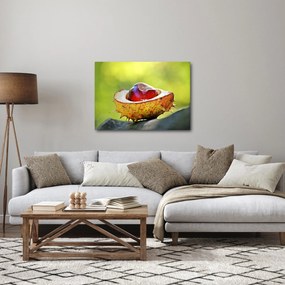 Obraz gaštanov (70x50 cm)