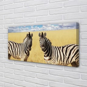 Obraz na plátne zebra box 120x60 cm