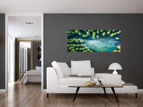 Obraz - Hmlou zahalený les (120x50 cm)