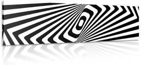 Obraz čiernobiela ilúzia - 120x40