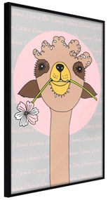 Artgeist Plagát - Happy Llama [Poster] Veľkosť: 30x45, Verzia: Zlatý rám s passe-partout