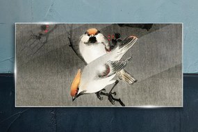Sklenený obraz Ázie pobočky zvierat vtákov