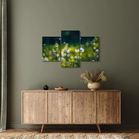 Obraz - Tráva (90x60 cm)
