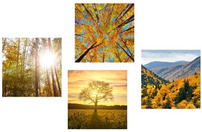 Set obrazov čaro jesennej krajiny