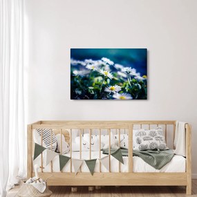 Obraz sedmokrások (90x60 cm)