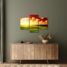 Obraz letnej lúky (90x60 cm)
