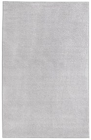 Kusový koberec Pure 102615 Grey, 160x240, šedá, kancelária, Hanse Home