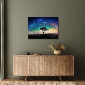 Obraz - Odpočinok pod hviezdami (70x50 cm)