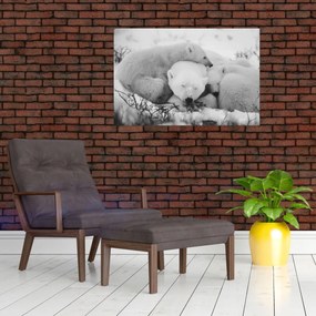 Obraz - Ľadové medvede (90x60 cm)