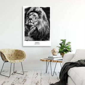 Obraz na plátně, Afrika Lvi Zvířata - 60x90 cm