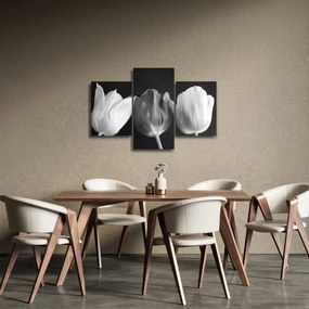 Obraz - Čiernobiele kvety tulipánov (90x60 cm)