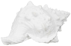 Soška z polyresínu (výška 12 cm) Seashell – Ixia
