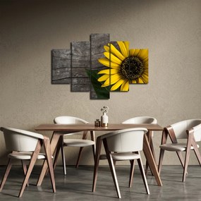 Obraz - Kvet slnečnice (150x105 cm)