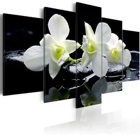 Obraz - Melancholic orchids Veľkosť: 100x50, Verzia: Na talianskom plátne