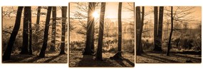 Obraz na plátne - Jesenné ráno v lese - panoráma 5251FD (90x30 cm)