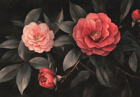 Fototapeta - Červené kvety na tmavom pozadí (147x102 cm)