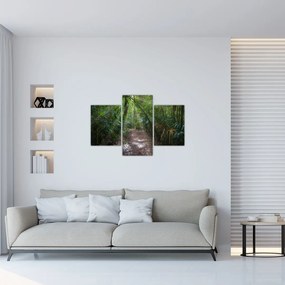 Obraz - Slnečné lúče v džungli (90x60 cm)
