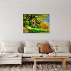 Obraz chodníky pozdĺž vody (70x50 cm)