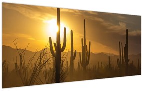 Obraz - Kaktusy Saguaro (120x50 cm)