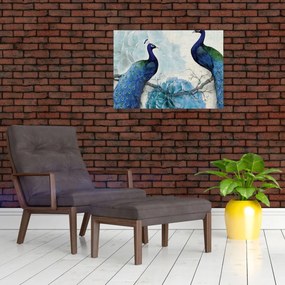 Obraz - Pávy s textúrami (70x50 cm)
