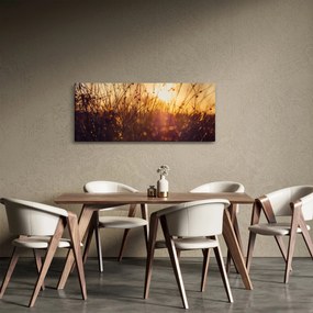 Obraz poľa pri západe slnka (120x50 cm)