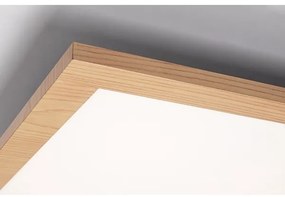 Rabalux 6909 - LED Prisadený panel ALMOND LED/40W/230V 4000K