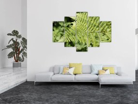 Obraz - Papradinový list (150x105 cm)