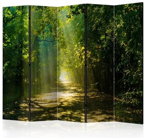 Artgeist Paraván - Road in Sunlight II [Room Dividers]