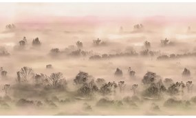 VLADILA Foggy Landscape Peach - tapeta