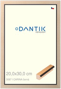 DANTIK rám na obraz 20x30 | CARINA černá (Sklo Čiré)